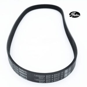 Banda de accesorios Gates Chevy C1 1994–1996